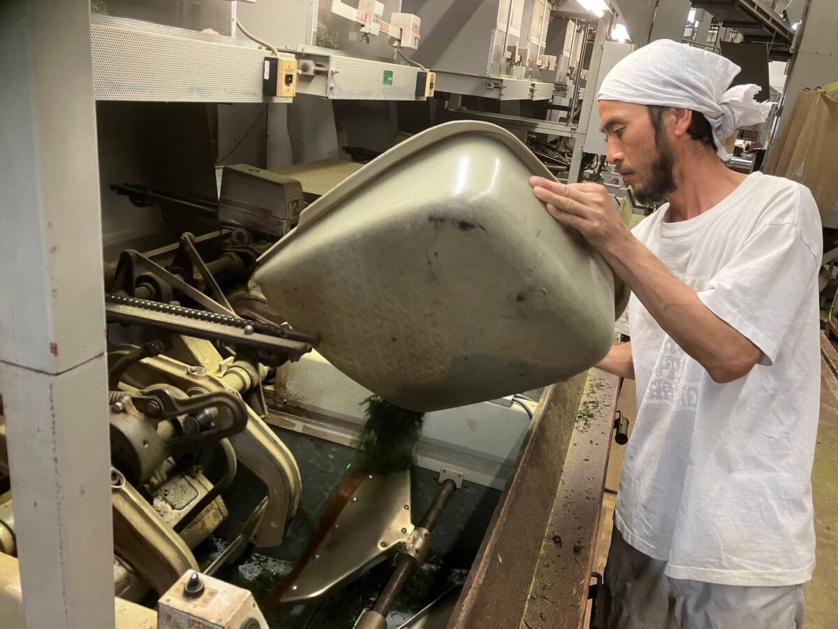 揉捻機に茶葉を入れる様子